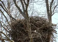 K1600_007.webp