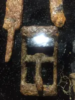 buckle.webp