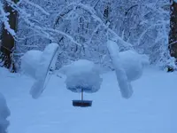 K1600_022.webp