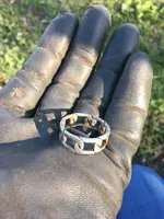 4-16-18ringrotcrop.webp