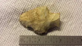 032618TK1- Length.webp