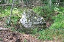 Granite boulder.jpg