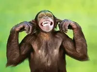 I cant hear you.webp I cant hear you.webp