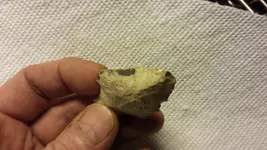 032618TK - Tip and Side.webp