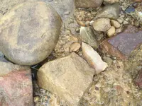 image.webp