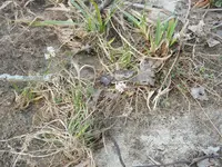 DSCN1246.webp