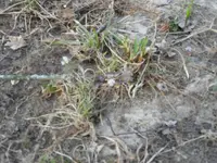 DSCN1247.webp