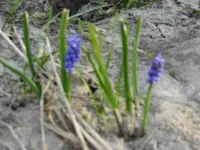 DSCN1248.webp
