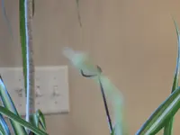 DSCN1291.webp