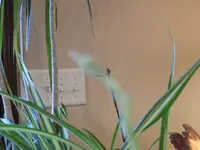 DSCN1293.webp
