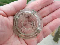 DSCN1267.webp