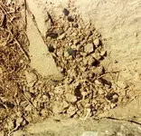Sagehen canyon0007.webp