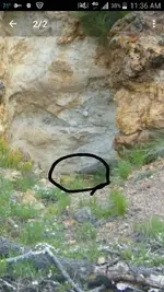 2018-04-17 11.37.24.webp