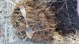 20180317_094537.webp