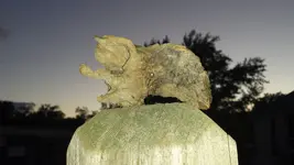 20140921_191529.webp