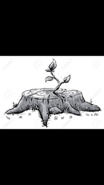 ImageUploadedByTreasureNet.com1524003586.253368.webp