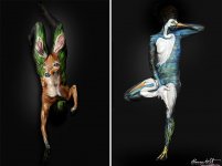 florida-wildlife-series-body-painting-art-shannon-holt-4.jpg