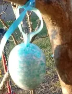 Egg 1 - G (2).webp