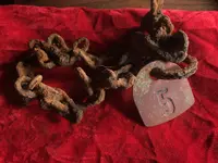 IMG_8482.webp IMG_8482.webp