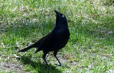 K1600_021_InPixio.webp