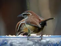 K1600_011.webp