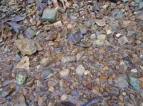 DSC00794.webp