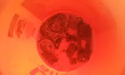 0320181143b.webp