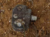 DSCN5013.webp