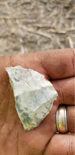 ImageUploadedByTreasureNet.com1524694993.750920.webp