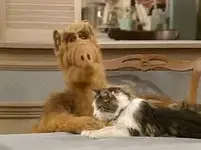 Alf and cat.webp