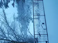 20180309_062539.webp