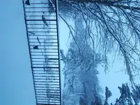 20180309_065801.webp