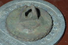 Old Flat Button Ploughed Garden 002.webp