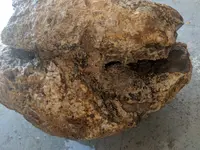 IMG_20180320_181635.webp