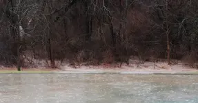 flood4.webp flood4.webp