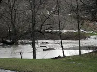 flood6.webp flood6.webp