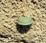 Florida button 1a.webp