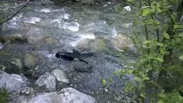 gbone_pic2.webp