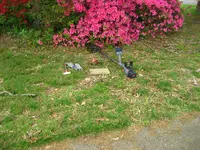 IMG_2139.webp