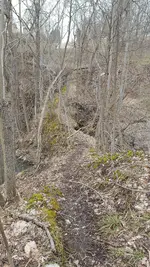 20180406_183932_001.webp