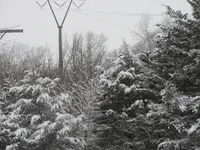 DSCN0539.webp