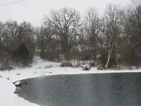 DSCN0538.webp