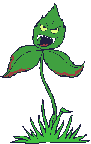 Hungry_plant_zpsvhocp62a.gif