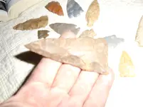 DSC00940.webp