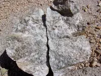 100_0155.webp