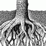 Oak_Tree_Roots.gif