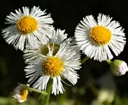 DSCN1577.webp