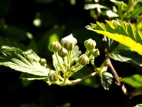 DSCN1569.webp