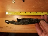 20180426_124232[1].webp