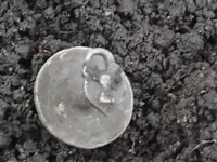 Silver Cuff Link Tooties 1915 Fob Oxferdshire #3 011.webp